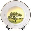 Plato personalizado